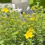 Chesa Altrova Alpine 公寓 圣莫里茨