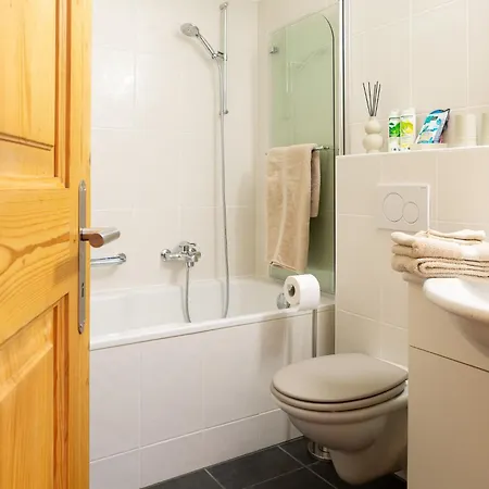 Apartament Chesa Altrova Alpine Sankt Moritz